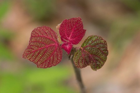 5D3_6146.jpg