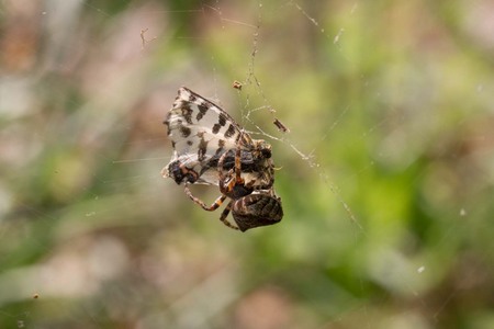 5D3_6269.jpg