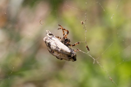 5D3_6288.jpg