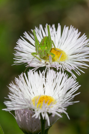 5D3_6696.jpg