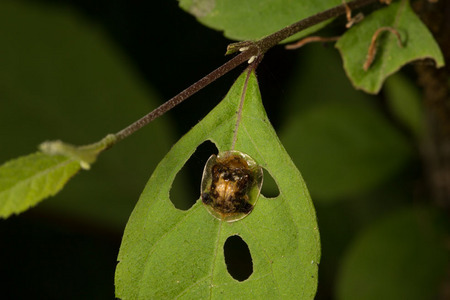 5D3_6778.jpg