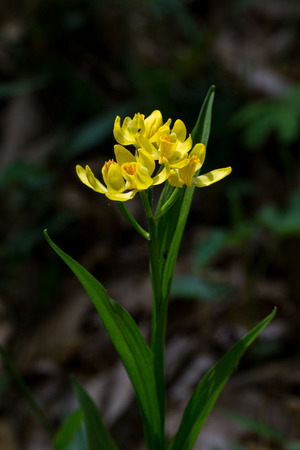 5D3_6864.jpg