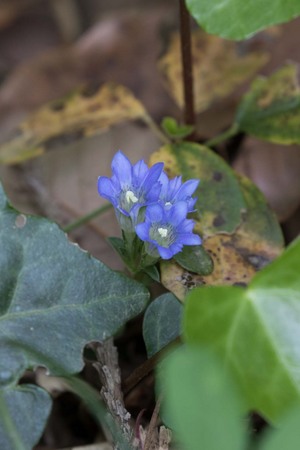 7D2_6982.jpg