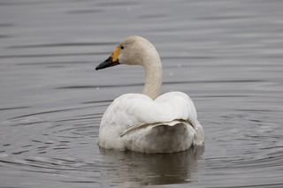 7D2_9002.jpg