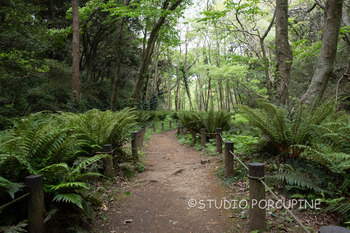 DSCF1729.jpg