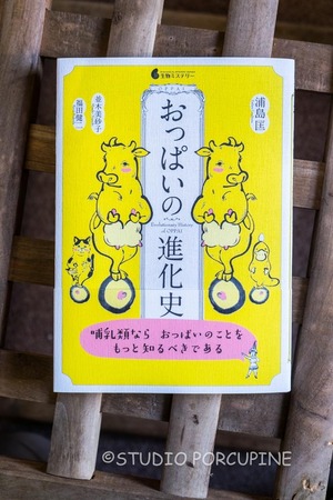 DSCF4890.jpg