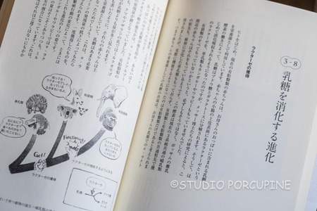 DSCF4899.jpg