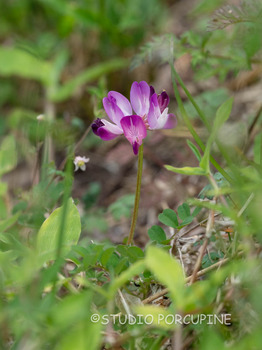 P4141041.jpg